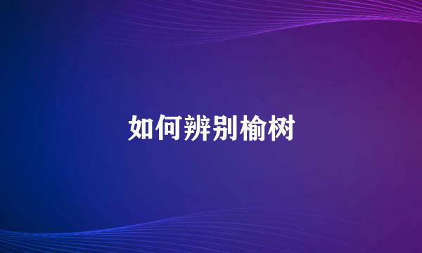 如何辨别榆树