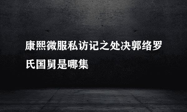 康熙微服私访记之处决郭络罗氏国舅是哪集