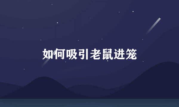 如何吸引老鼠进笼