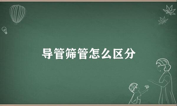 导管筛管怎么区分