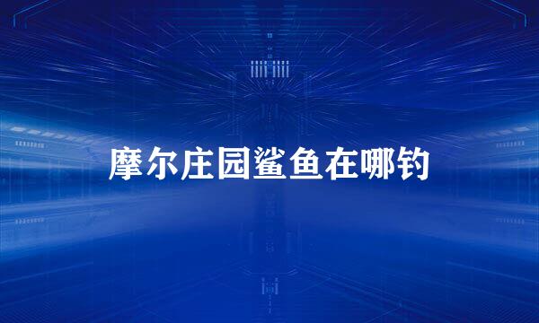 摩尔庄园鲨鱼在哪钓