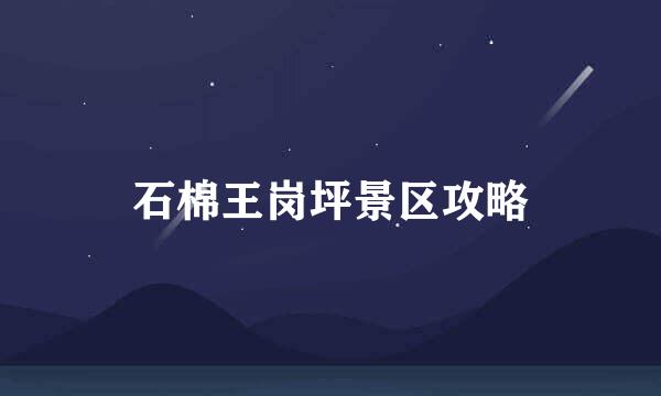 石棉王岗坪景区攻略