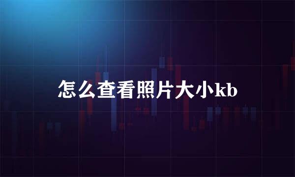 怎么查看照片大小kb