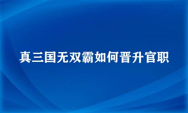 真三国无双霸如何晋升官职
