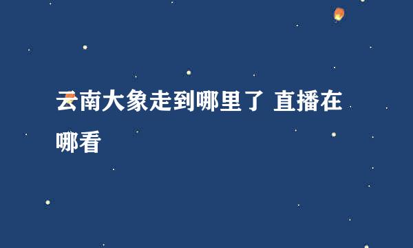 云南大象走到哪里了 直播在哪看