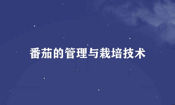 番茄的管理与栽培技术