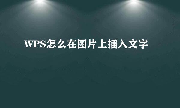 WPS怎么在图片上插入文字
