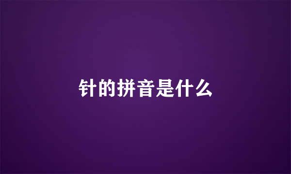 针的拼音是什么