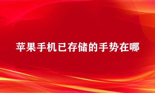 苹果手机已存储的手势在哪