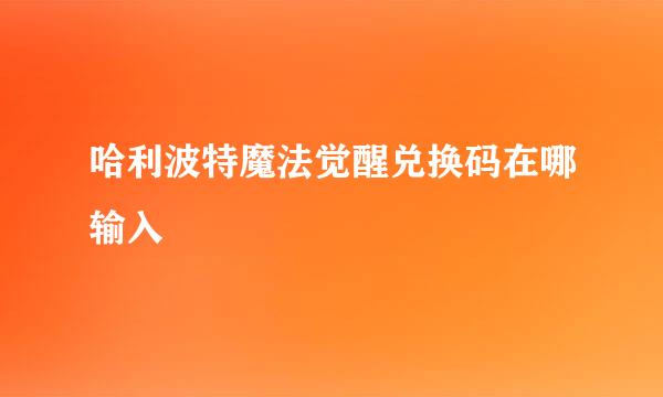 哈利波特魔法觉醒兑换码在哪输入