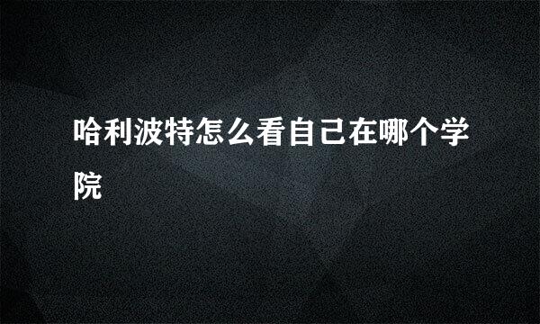 哈利波特怎么看自己在哪个学院