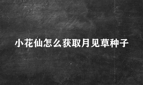 小花仙怎么获取月见草种子