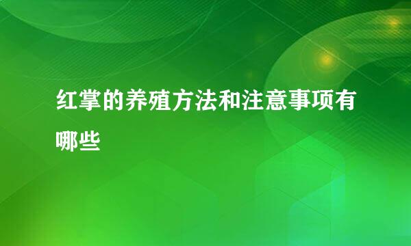 红掌的养殖方法和注意事项有哪些