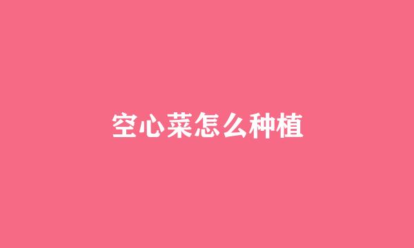 空心菜怎么种植