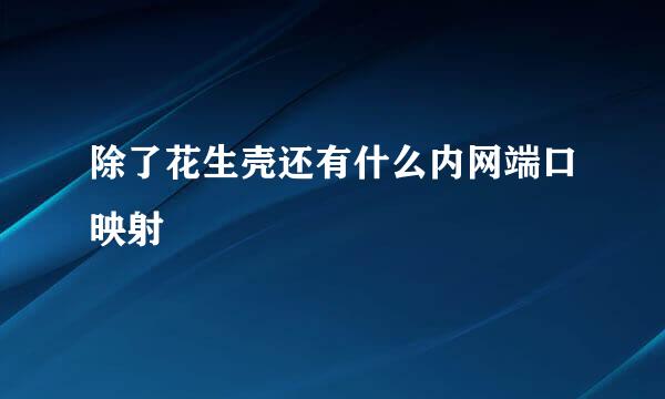 除了花生壳还有什么内网端口映射