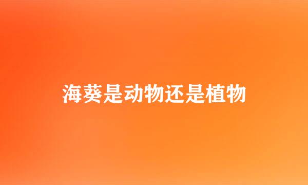 海葵是动物还是植物