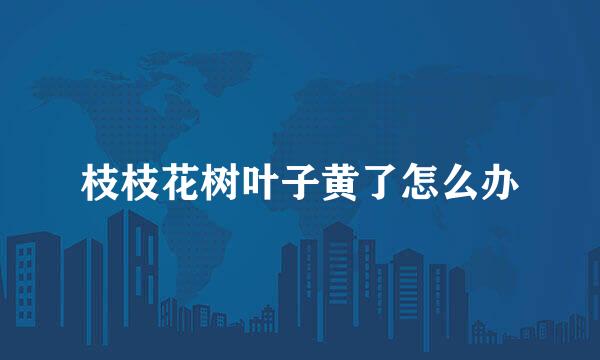 枝枝花树叶子黄了怎么办