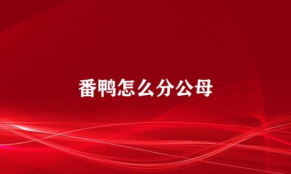 番鸭怎么分公母