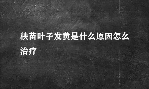 秧苗叶子发黄是什么原因怎么治疗