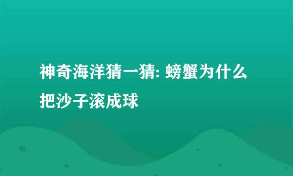 神奇海洋猜一猜: 螃蟹为什么把沙子滚成球