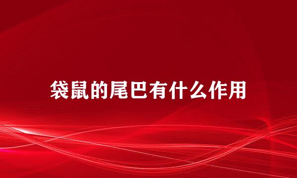袋鼠的尾巴有什么作用