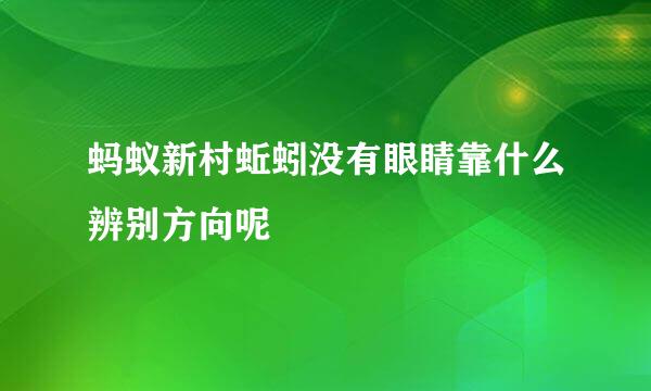 蚂蚁新村蚯蚓没有眼睛靠什么辨别方向呢