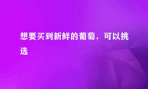 想要买到新鲜的葡萄,可以挑选