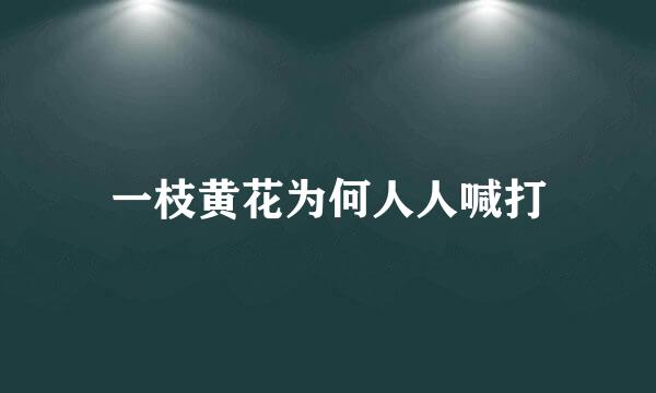 一枝黄花为何人人喊打