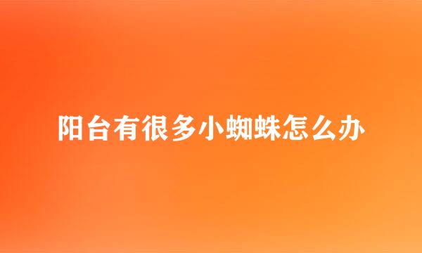 阳台有很多小蜘蛛怎么办
