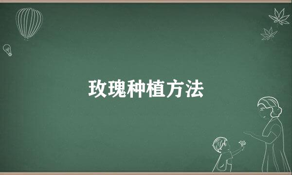 玫瑰种植方法