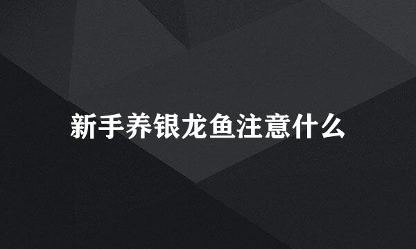 新手养银龙鱼注意什么