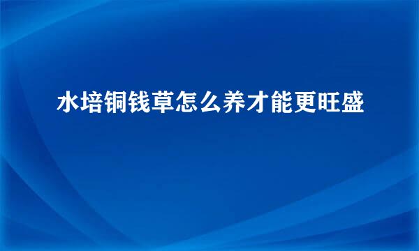 水培铜钱草怎么养才能更旺盛