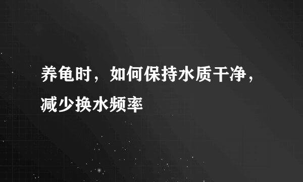 养龟时，如何保持水质干净，减少换水频率