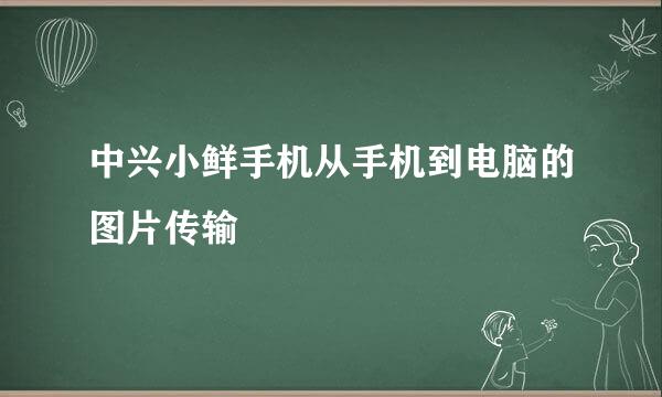 中兴小鲜手机从手机到电脑的图片传输