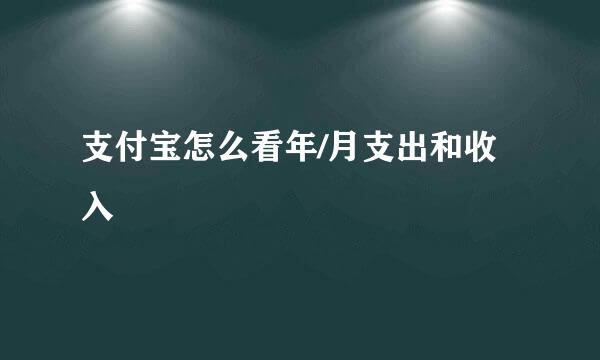 支付宝怎么看年/月支出和收入