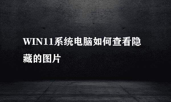 WIN11系统电脑如何查看隐藏的图片