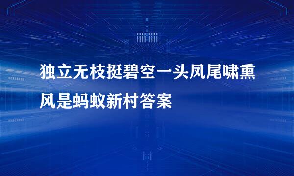 独立无枝挺碧空一头凤尾啸熏风是蚂蚁新村答案