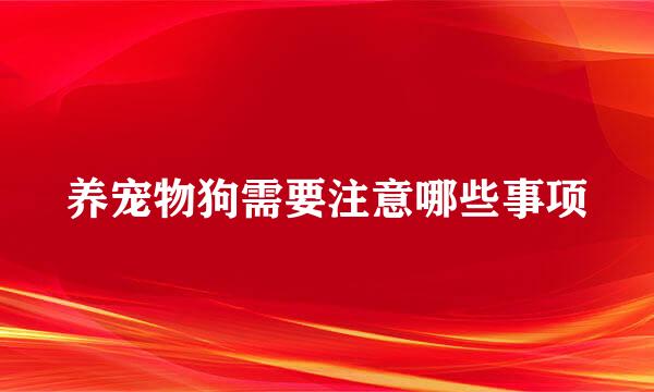 养宠物狗需要注意哪些事项