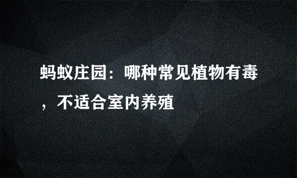 蚂蚁庄园：哪种常见植物有毒，不适合室内养殖