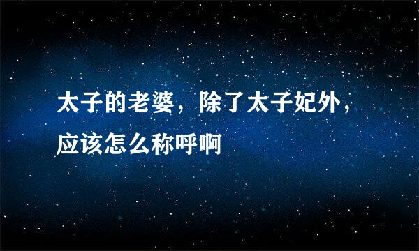 太子的老婆，除了太子妃外，应该怎么称呼啊
