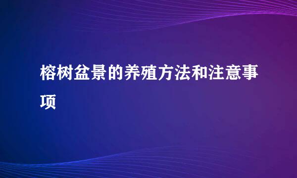 榕树盆景的养殖方法和注意事项