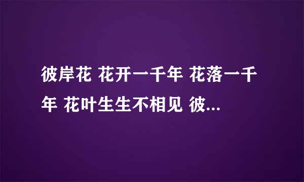 彼岸花 花开一千年 花落一千年 花叶生生不相见 彼岸花开开彼岸 奈何桥前可奈何 ??什么涵义
