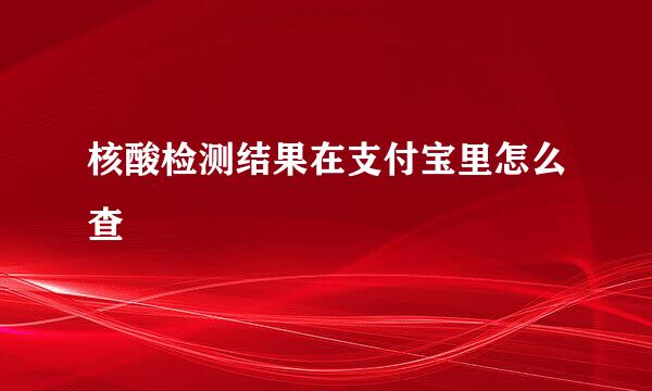 核酸检测结果在支付宝里怎么查