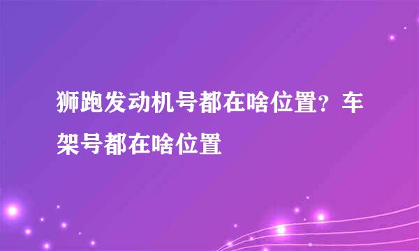 狮跑发动机号都在啥位置？车架号都在啥位置