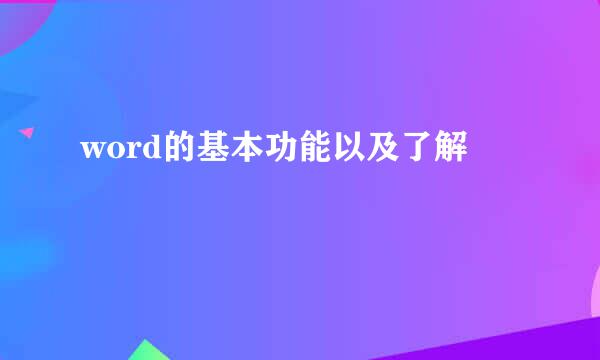word的基本功能以及了解