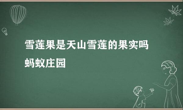 雪莲果是天山雪莲的果实吗 蚂蚁庄园