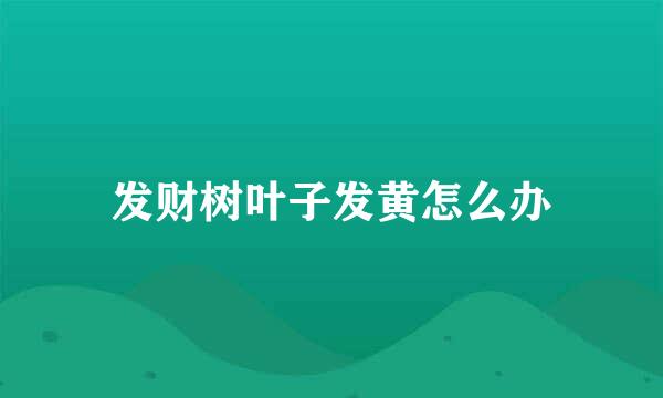 发财树叶子发黄怎么办