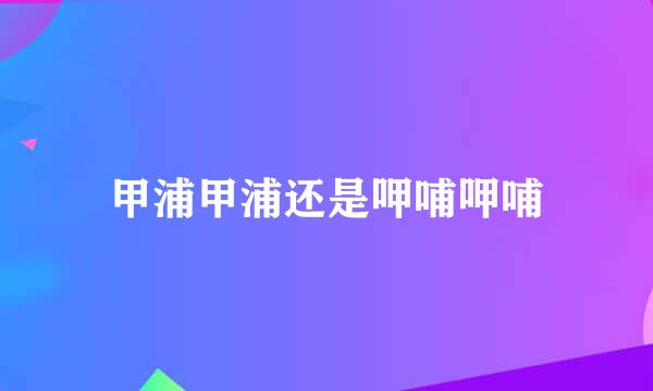 甲浦甲浦还是呷哺呷哺
