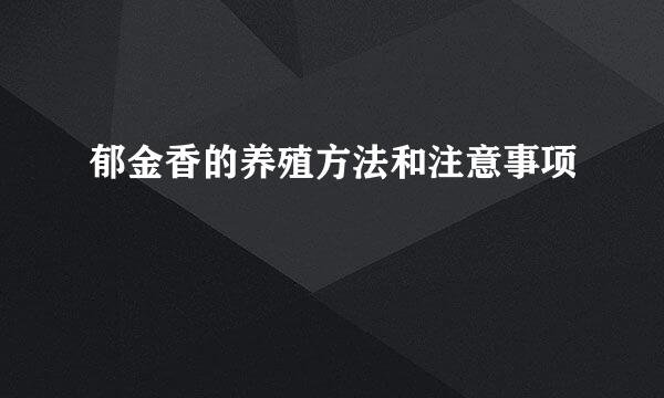 郁金香的养殖方法和注意事项