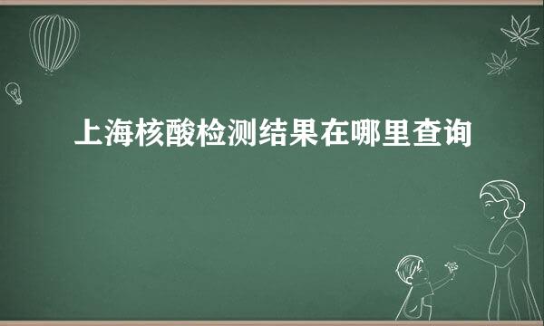 上海核酸检测结果在哪里查询
